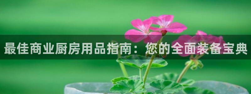 鸿运国际手机版网页